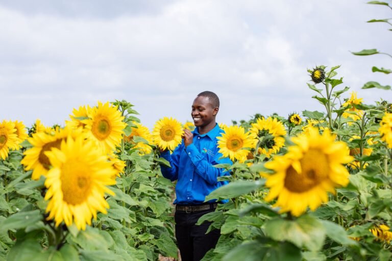 Agventure Raises $9.5M Funding to Increase Canola Oil Production Capacity in Kenya